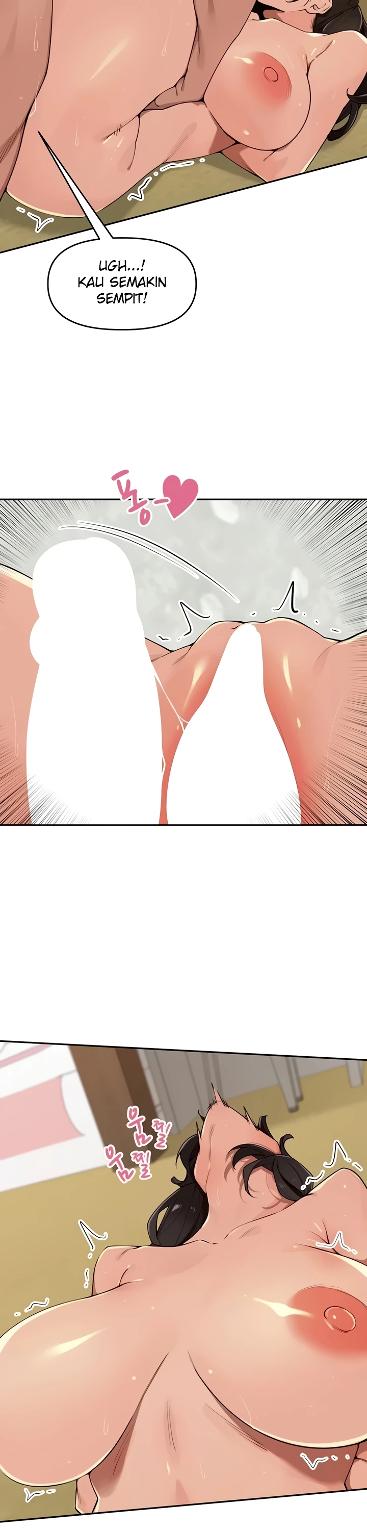 Village Special Ordinance - Page 13